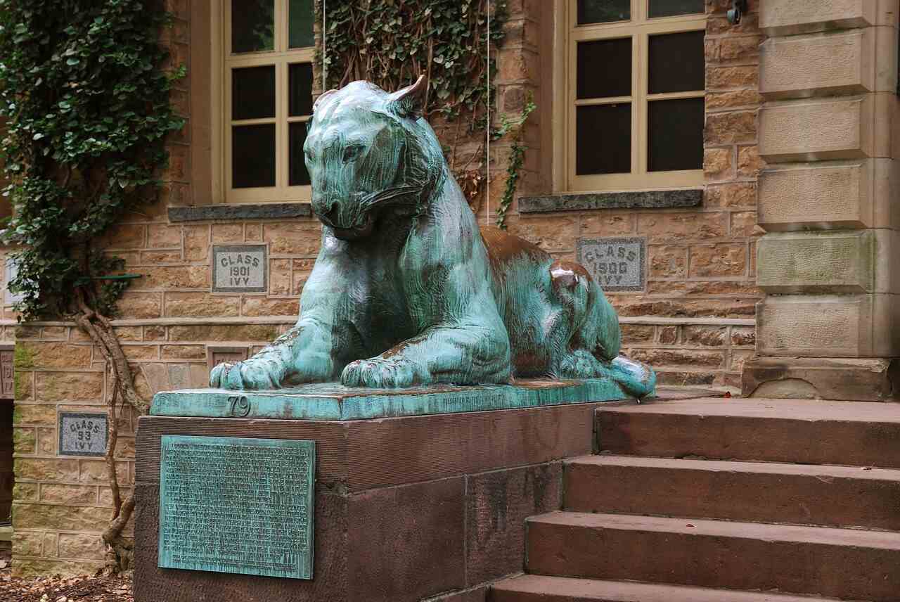 Does Princeton Accept IB IB Requirements For Admission does-princeton-accept-ib-ib-requirements-for-admission